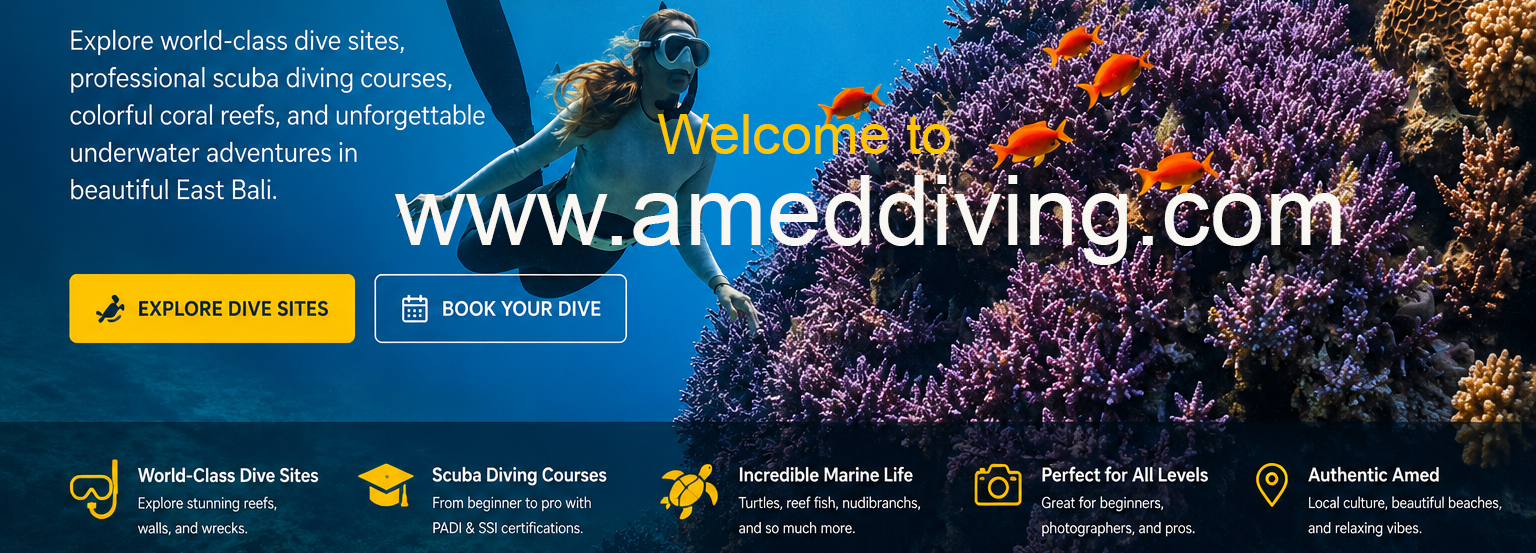Amed Diving