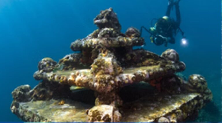 Amed Private Diving
