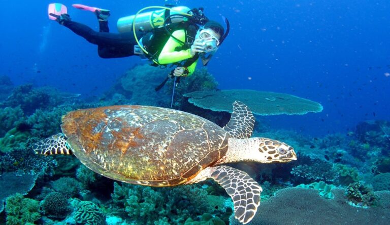Beginner Guide To Underwater Breathing